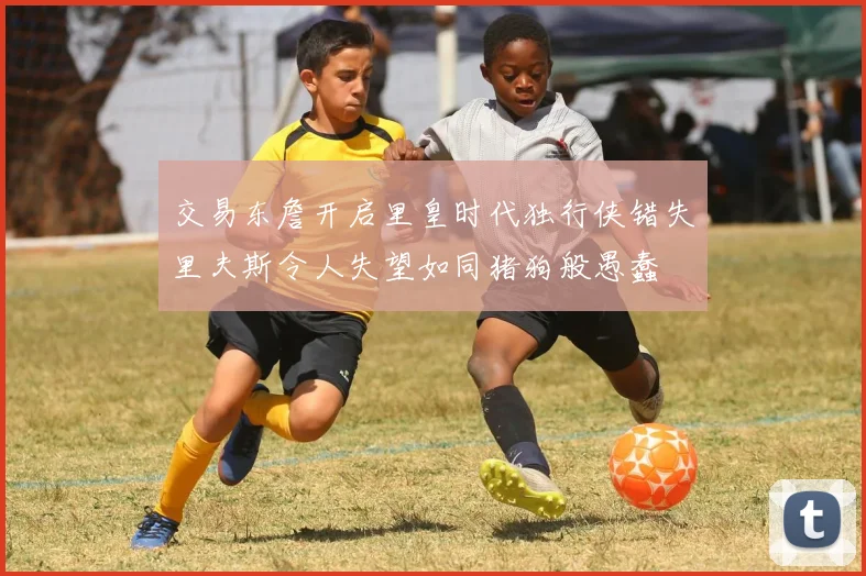 交易东詹开启里皇时代独行侠错失里夫斯令人失望如同猪狗般愚蠢